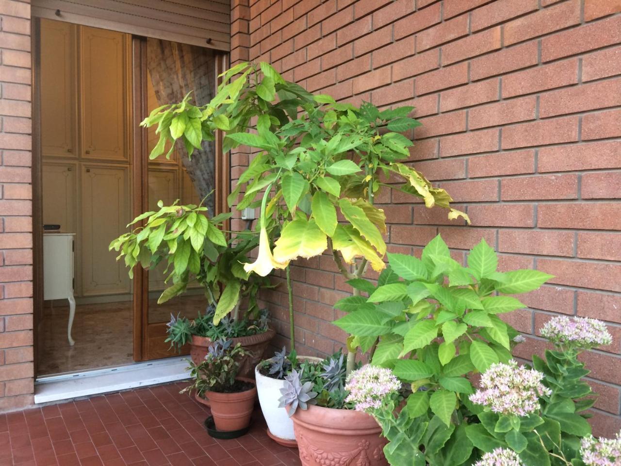 Bed and breakfast Pergolesi Verona