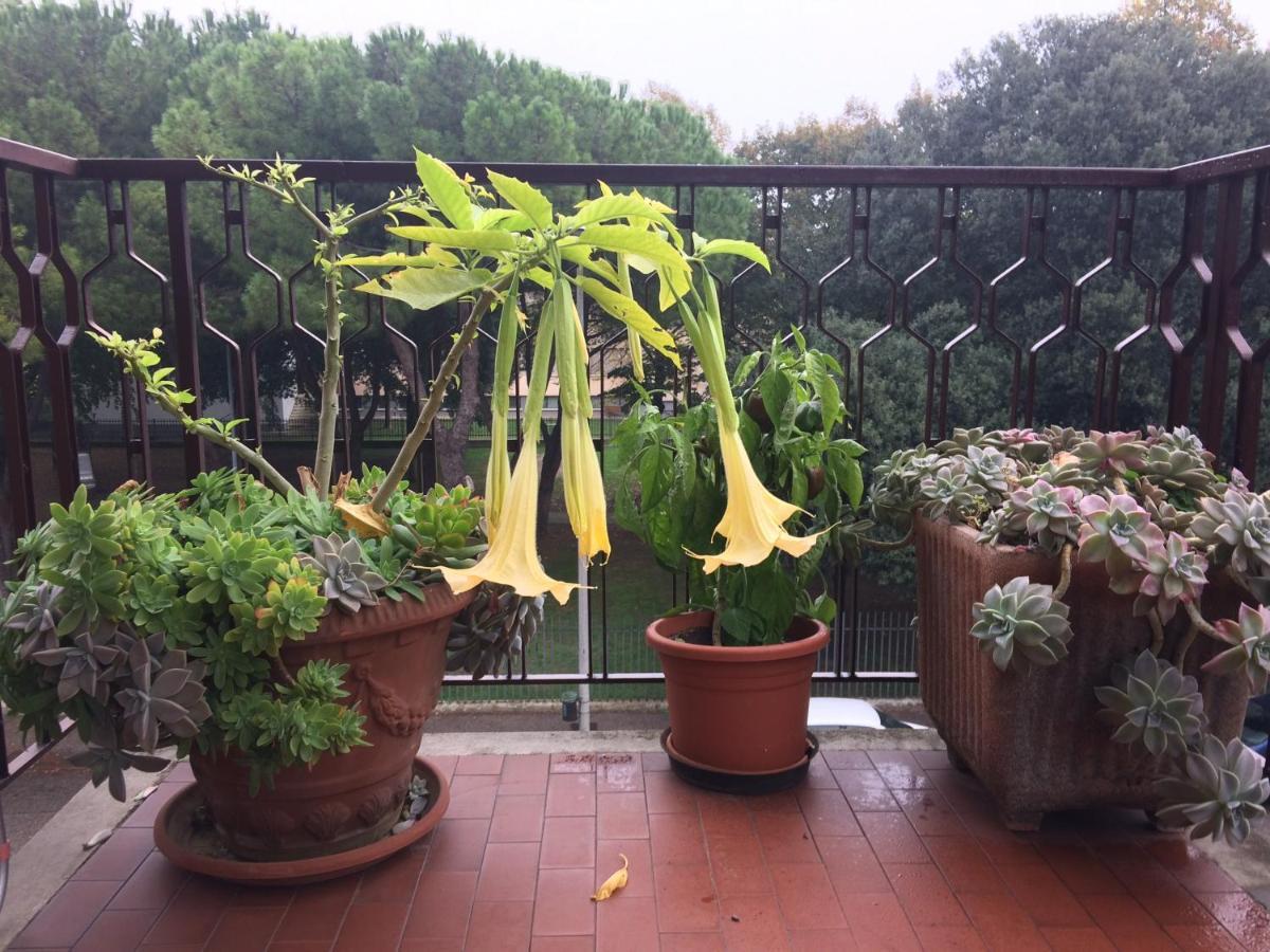Pergolesi Bed & Breakfast Verona